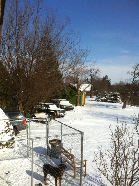 What did you do to your Cherokee today?-backyard6jan2013.jpg