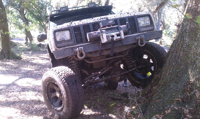 flex pics-forumrunner_20130128_194725.jpg