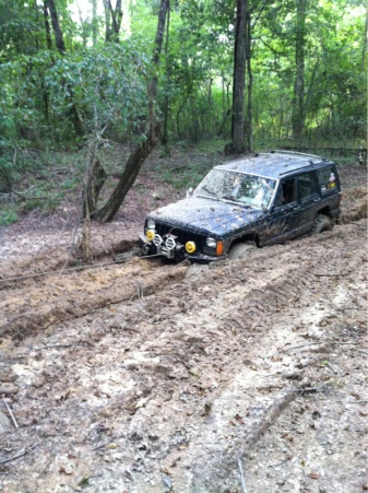 stuck pis!-image-3715479111.jpg