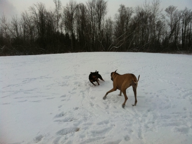 What did you do to your Cherokee today?-play-2-nyala-karma.jpg