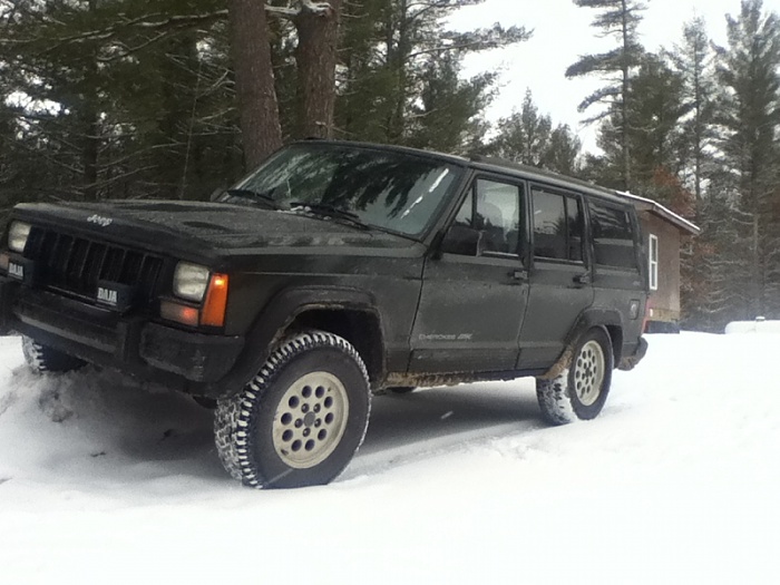 teenage owners post pics-image-4231558906.jpg