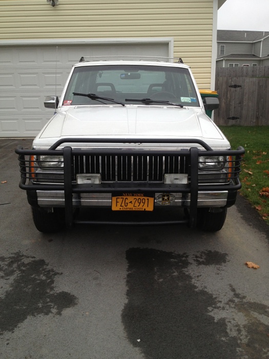 Looking for recommended brush guard!-image-2770301357.jpg