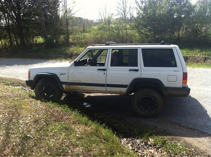 flex pics-image-2484648290.jpg