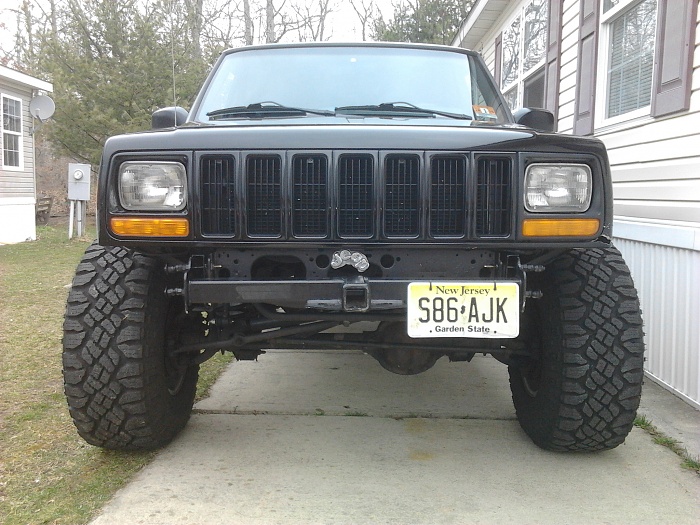 Hood ornaments?-beast-023.jpg