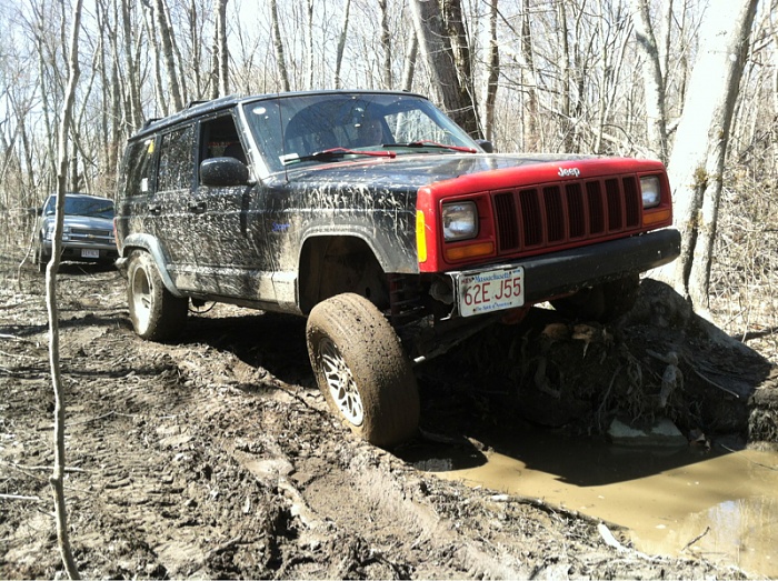 flex pics-image-4169405566.jpg
