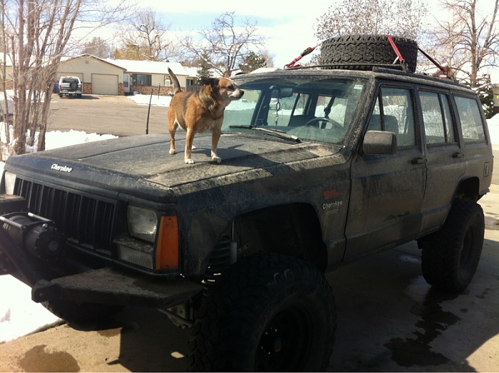 teenage owners post pics-image-1175920797.jpg