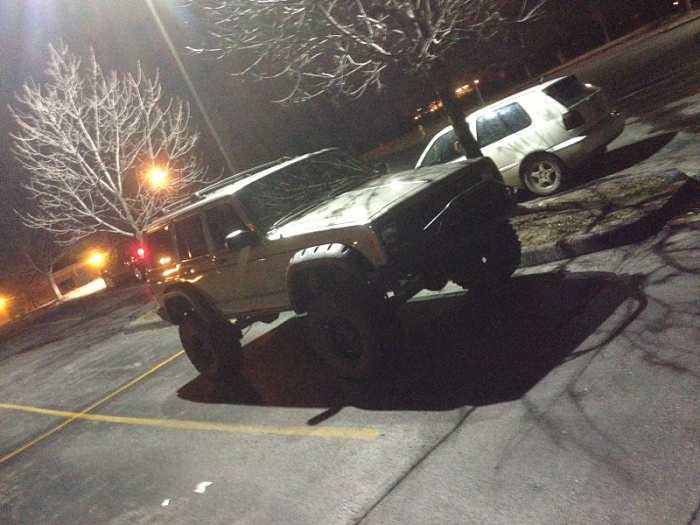 teenage owners post pics-image-3691354549.jpg