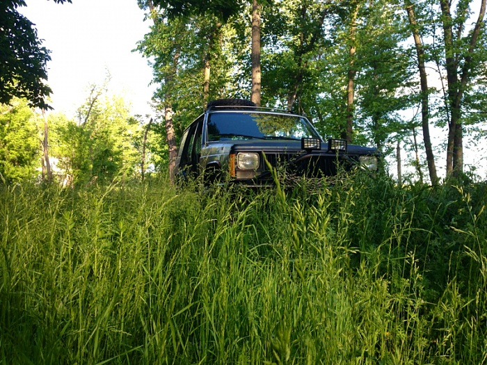 Jeeps in the Wild-image-3321933409.jpg