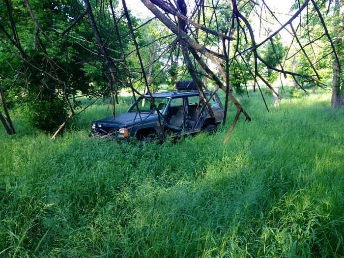 Jeeps in the Wild-image-4210031342.jpg