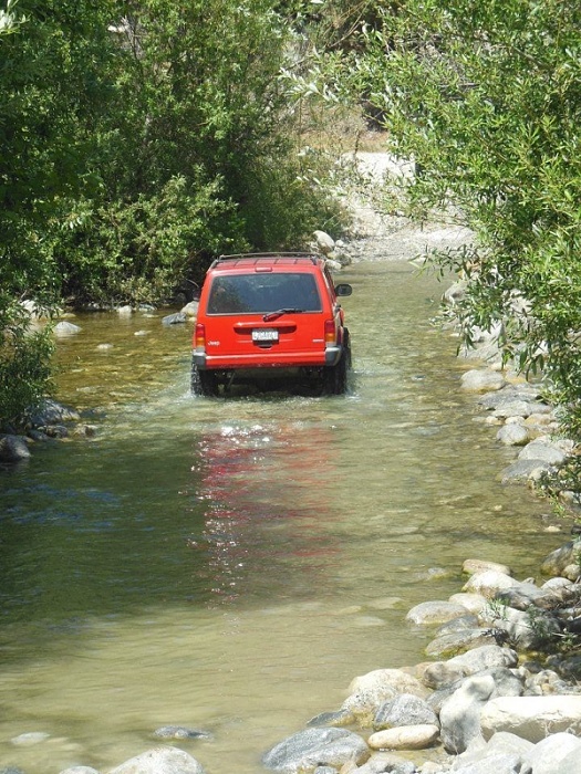 Jeeps in the Wild-image-2861660018.jpg