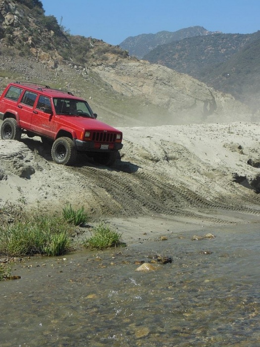 Jeeps in the Wild-image-361769714.jpg