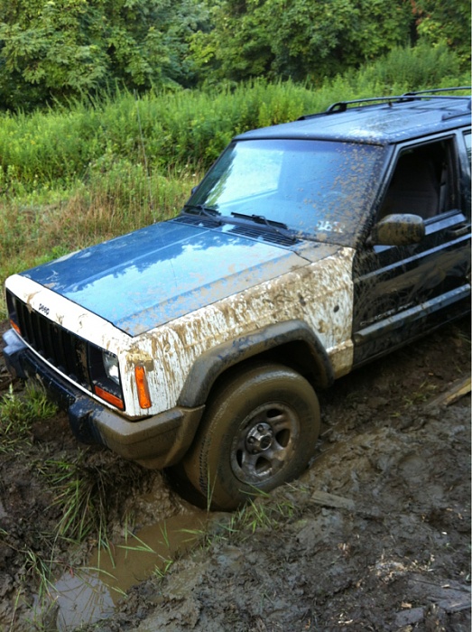 Jeeps in the Wild-image-1305193382.jpg