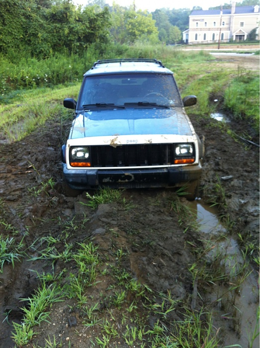 Jeeps in the Wild-image-2601709205.jpg