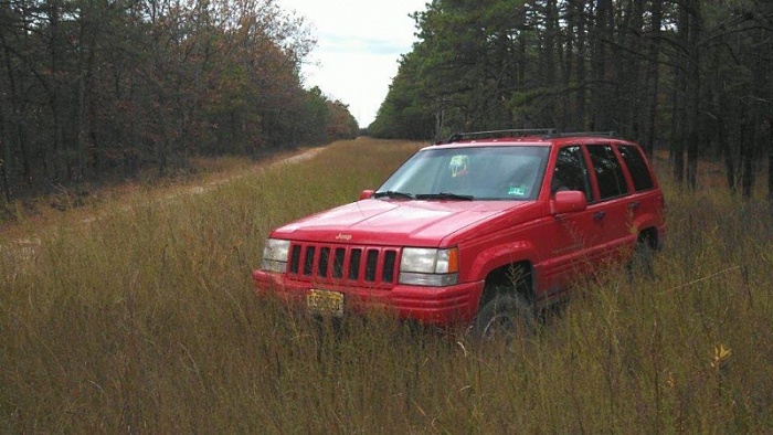 Jeeps in the Wild-image-3784246625.jpg