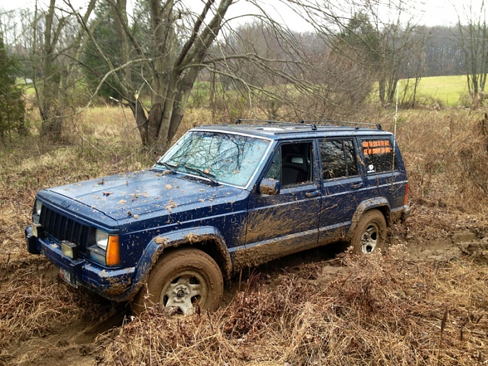 Jeeps in the Wild-image-1295862644.jpg