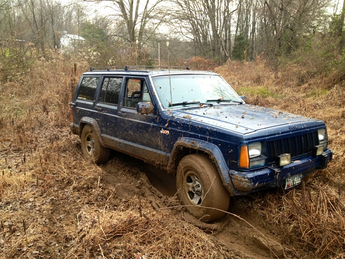 Jeeps in the Wild-image-943964089.jpg