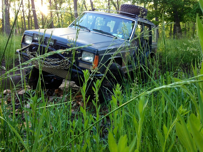 Jeeps in the Wild-image-2007654250.jpg