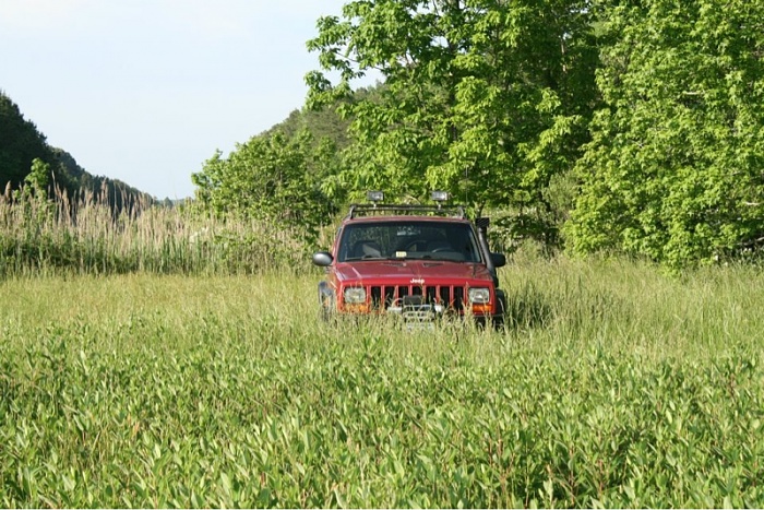Jeeps in the Wild-image-2290504331.jpg