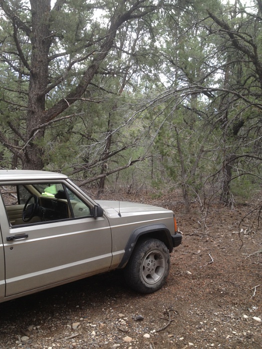 Jeeps in the Wild-image-1999615187.jpg