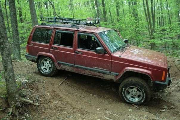 Jeeps in the Wild-image-1341301853.jpg
