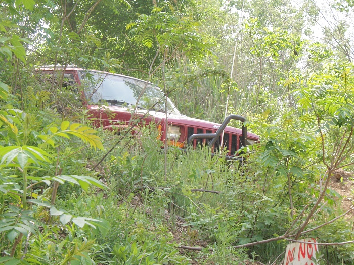 Jeeps in the Wild-024.jpg