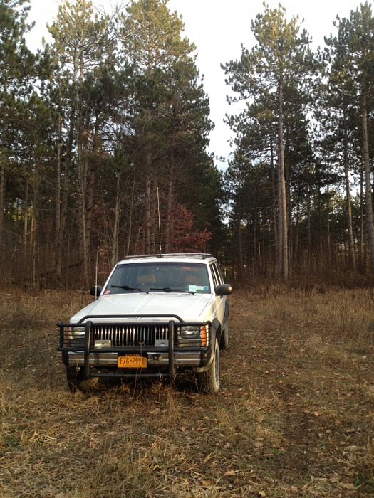 Jeeps in the Wild-image-1740262147.jpg
