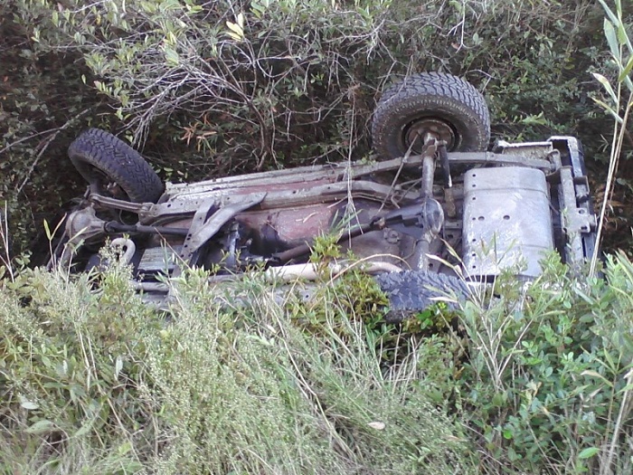 Jeeps in the Wild-image-1978396349.jpg