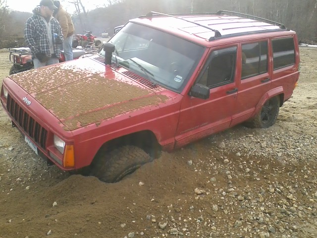 Jeeps in the Wild-stuck.jpg