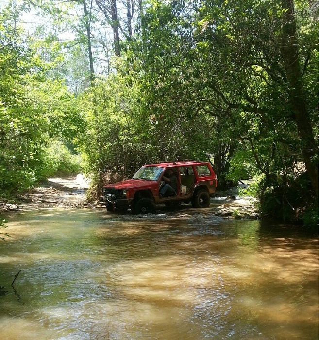 Jeeps in the Wild-image-2306058301.jpg