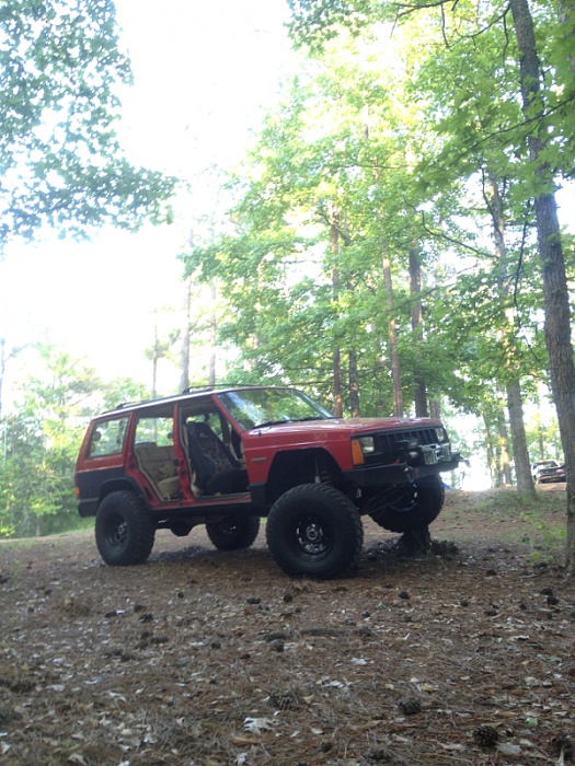 Jeeps in the Wild-image-2488042929.jpg