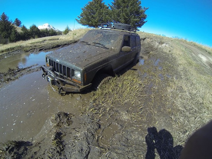 Jeeps in the Wild-image-3340703260.jpg