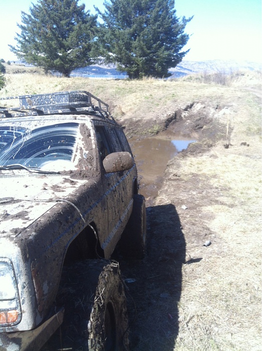 Jeeps in the Wild-image-56882524.jpg