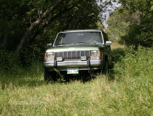 Jeeps in the Wild-image-898135042.jpg
