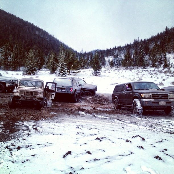 Jeeps in the Wild-image-739301082.jpg