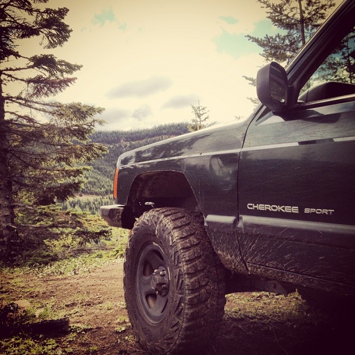 Jeeps in the Wild-image-267468735.jpg