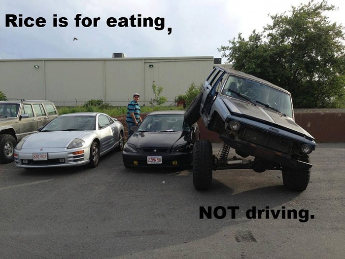 Jeeps in the Wild-image-2960041584.jpg