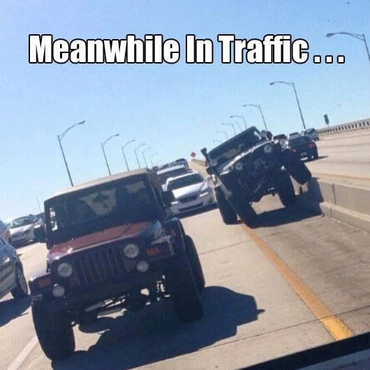 Jeeps in the Wild-image-3192202067.jpg