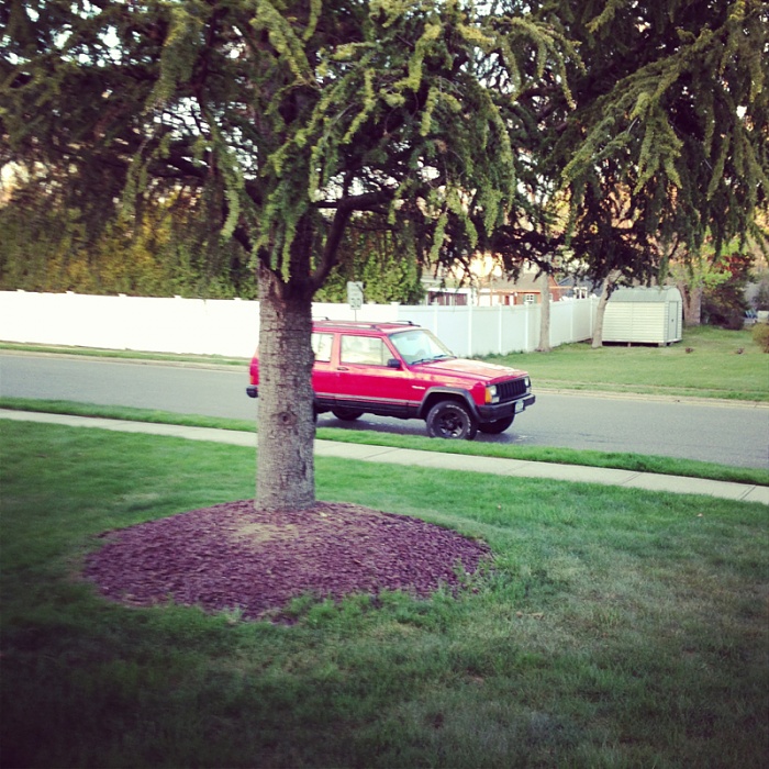post the favorite picture of your jeep.-image-2320680801.jpg
