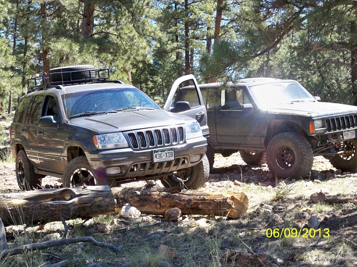 Jeeps in the Wild-image-1060799294.jpg