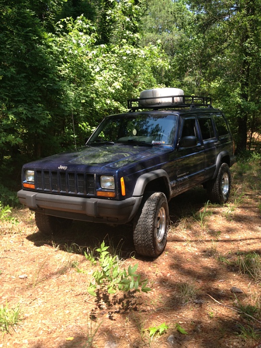 Jeeps in the Wild-image-838987420.jpg