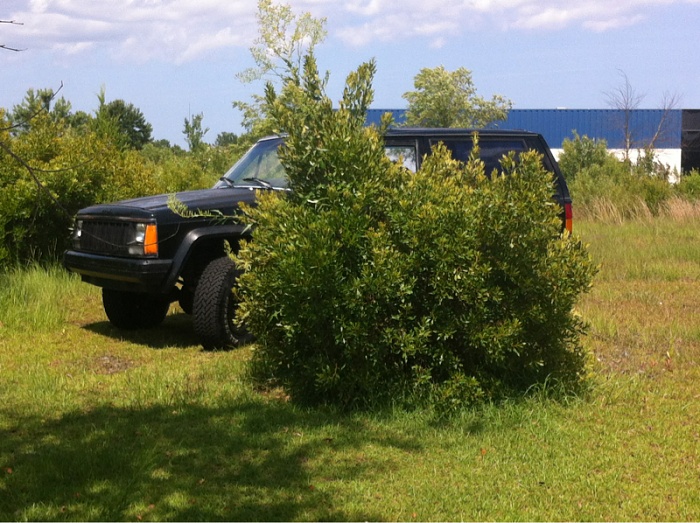 Jeeps in the Wild-image-4020671063.jpg