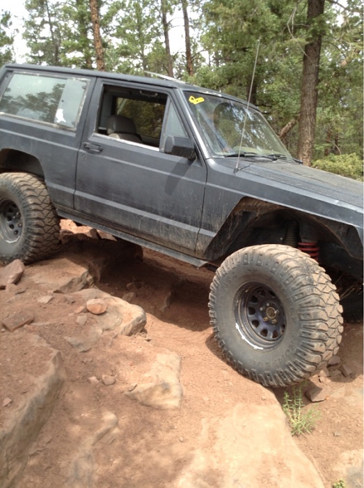 Jeeps in the Wild-image-638383219.jpg
