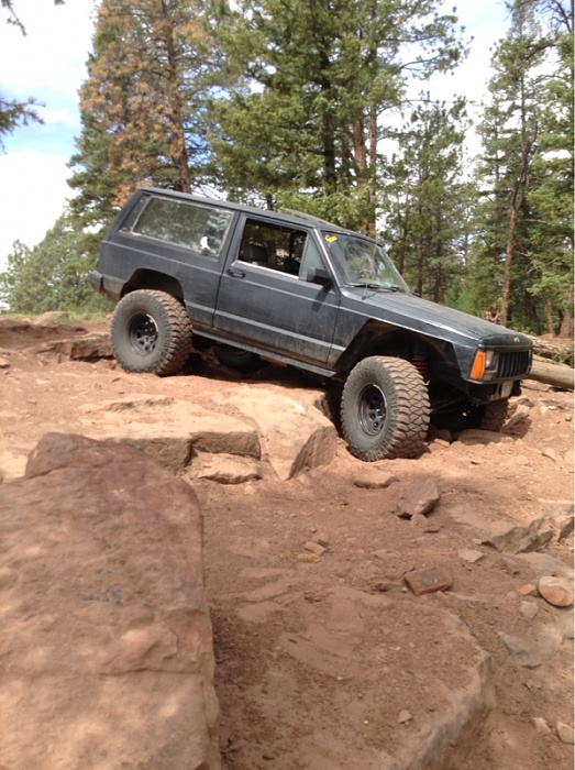 Jeeps in the Wild-image-1798259909.jpg