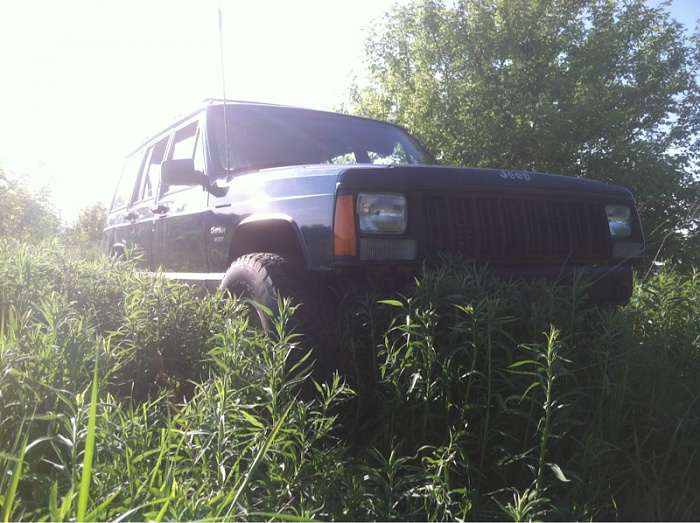 Jeeps in the Wild-image-2565259361.jpg