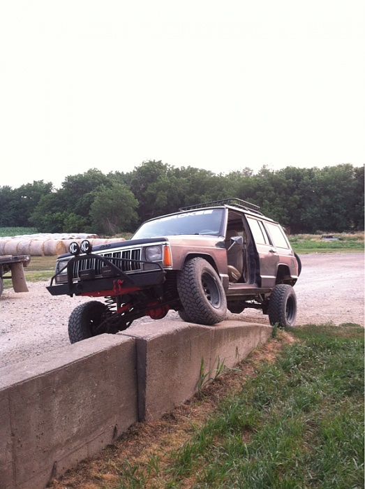 flex pics-image-3678465024.jpg