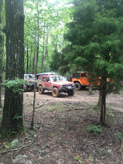 Jeeps in the Wild-image-3046135412.jpg