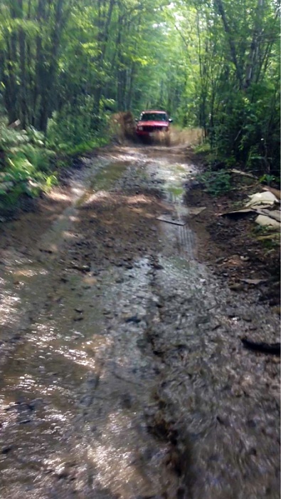Jeeps in the Wild-image-1254387934.jpg