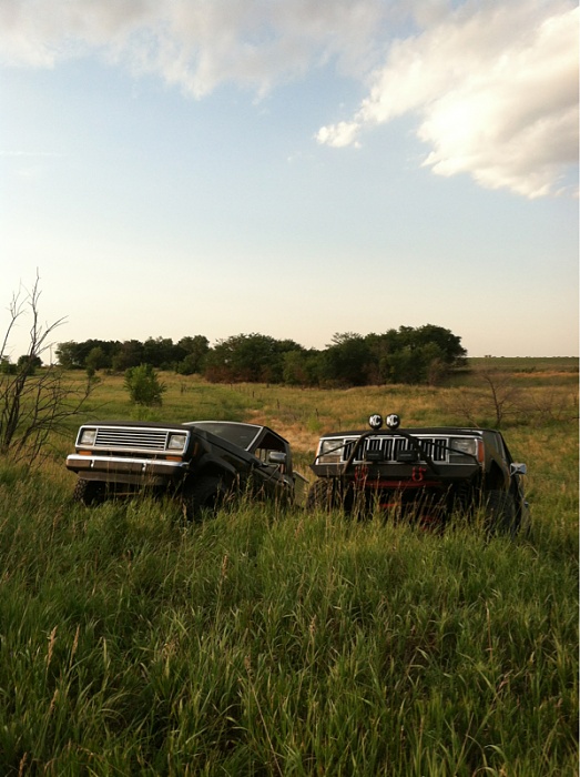 Jeeps in the Wild-image-3590456666.jpg