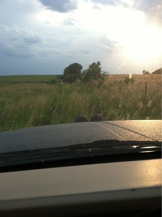 Jeeps in the Wild-image-115959860.jpg