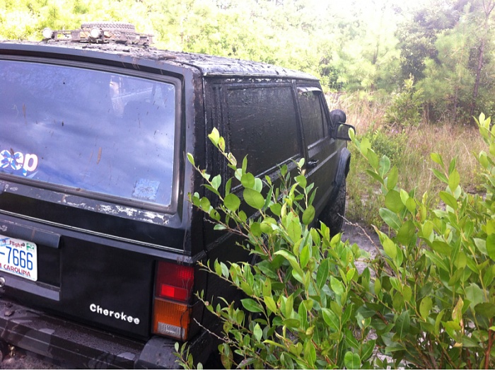 Jeeps in the Wild-image-1489364023.jpg